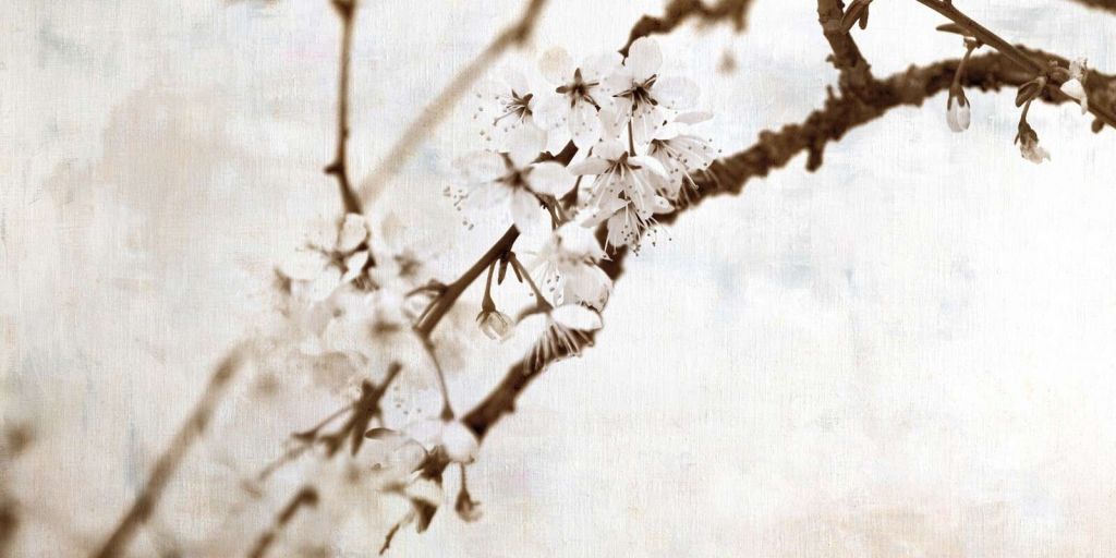 Rama en suave silencio.