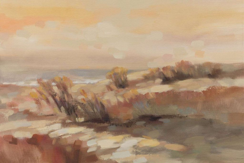 Dunas cálidas en la luz de la tarde.