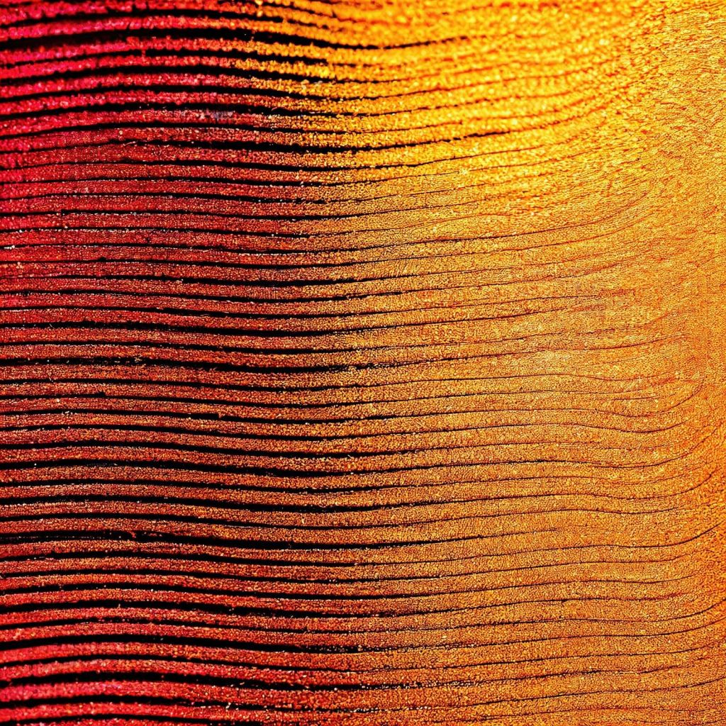 Flor de azafrán Macro Cobra