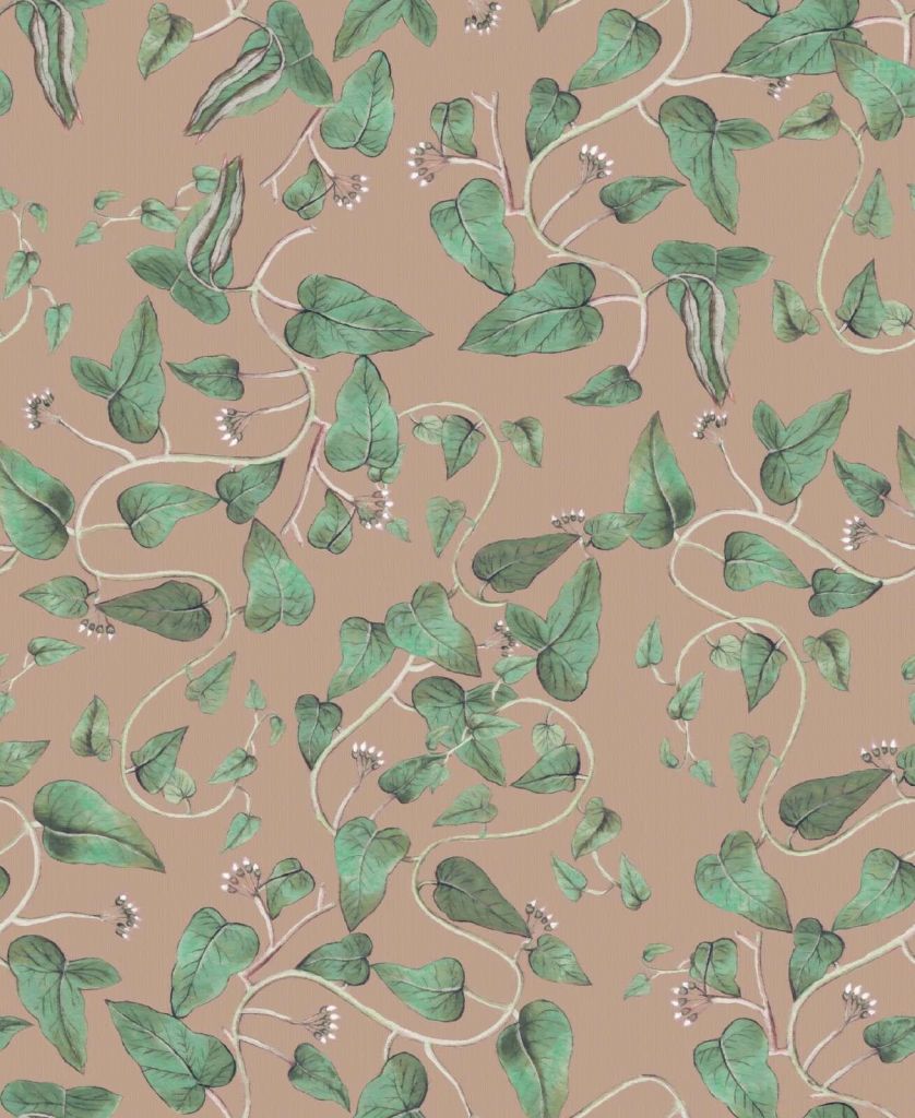 Enredaderas trepadoras de frijoles sobre marrón arenoso