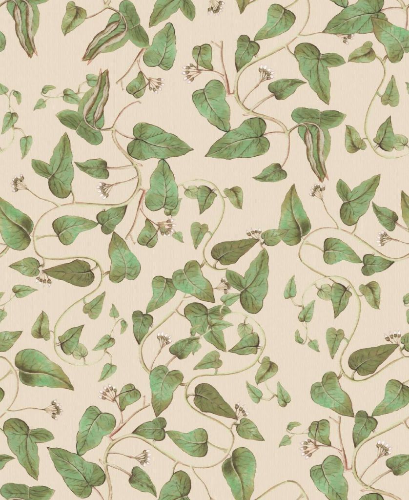 Enredaderas de judías trepadoras sobre crema