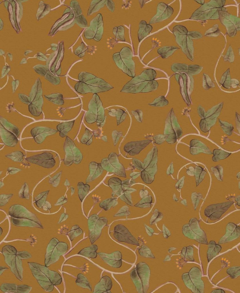 Enredaderas de habichuelas trepadoras de color ocre amarillo