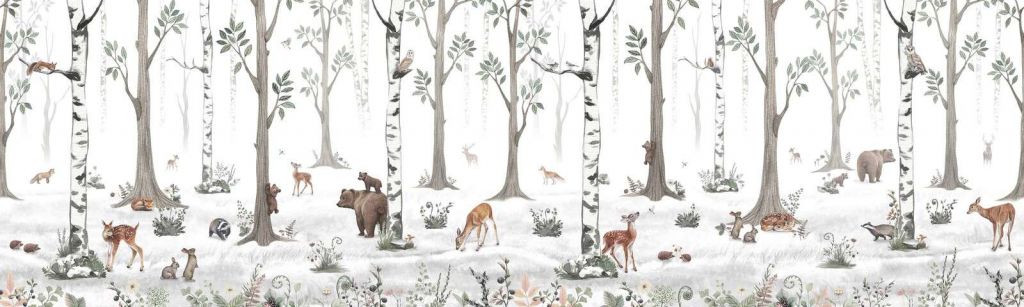 Bosque Blanco - Panorama