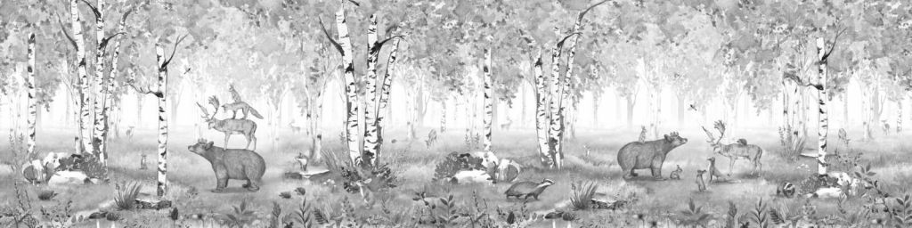 Rey oso - Blanco y negro - Panorama