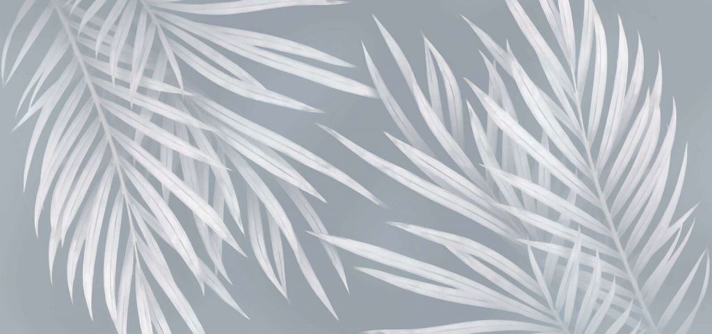 Hojas de palma claras en azul grisáceo