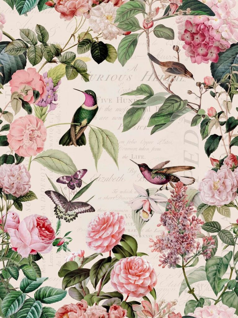 Colibríes y rosas