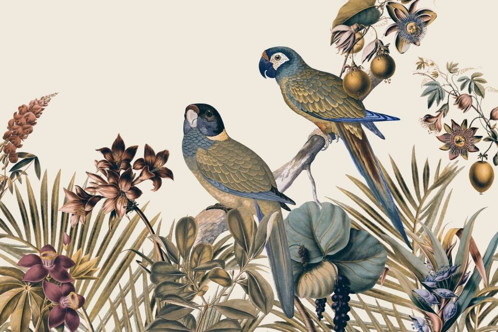 Ambiente selvático, loros, isla