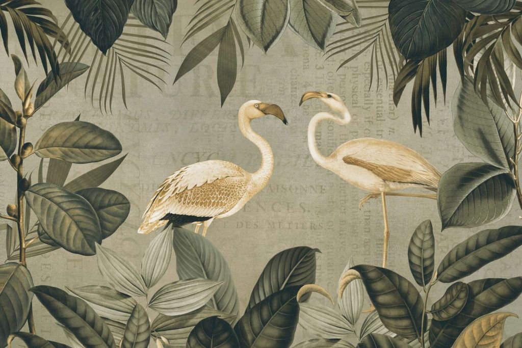 Oasis de flamencos vintage y texto antiguo