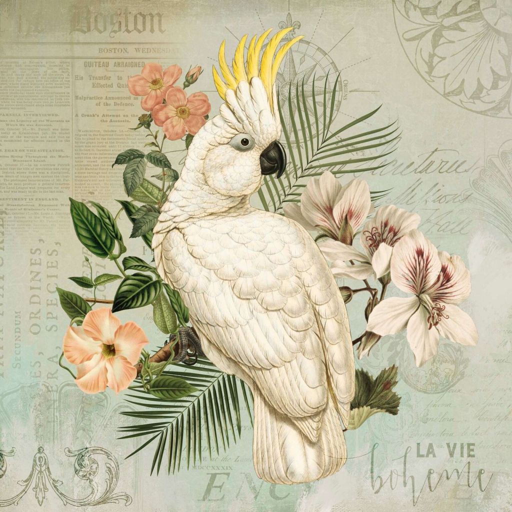 nostalgia vintage de cacatúa
