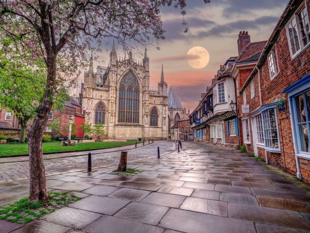 Catedral gótica bajo la luna llena
