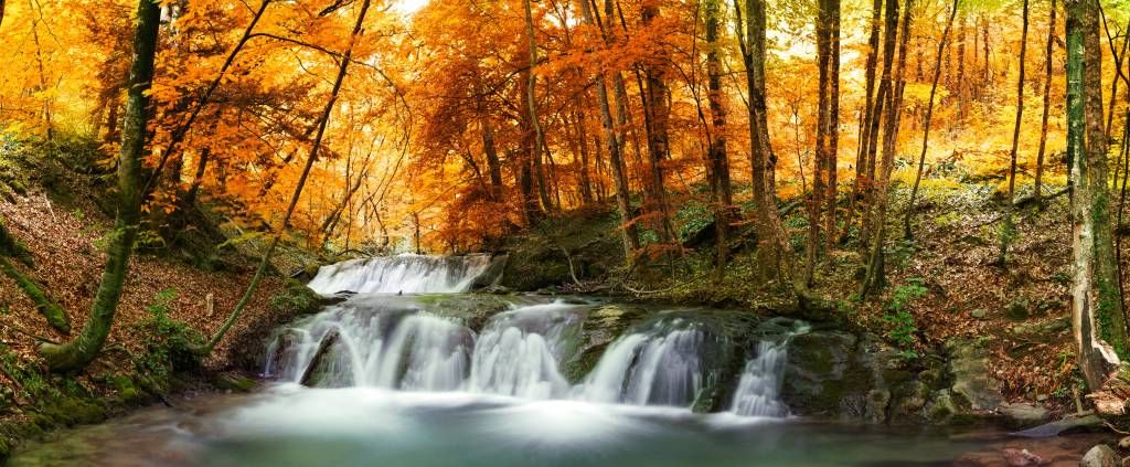 Cascada en otoño