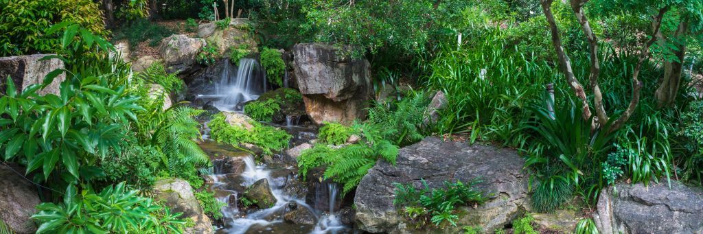 Cascada con plantas tropicales