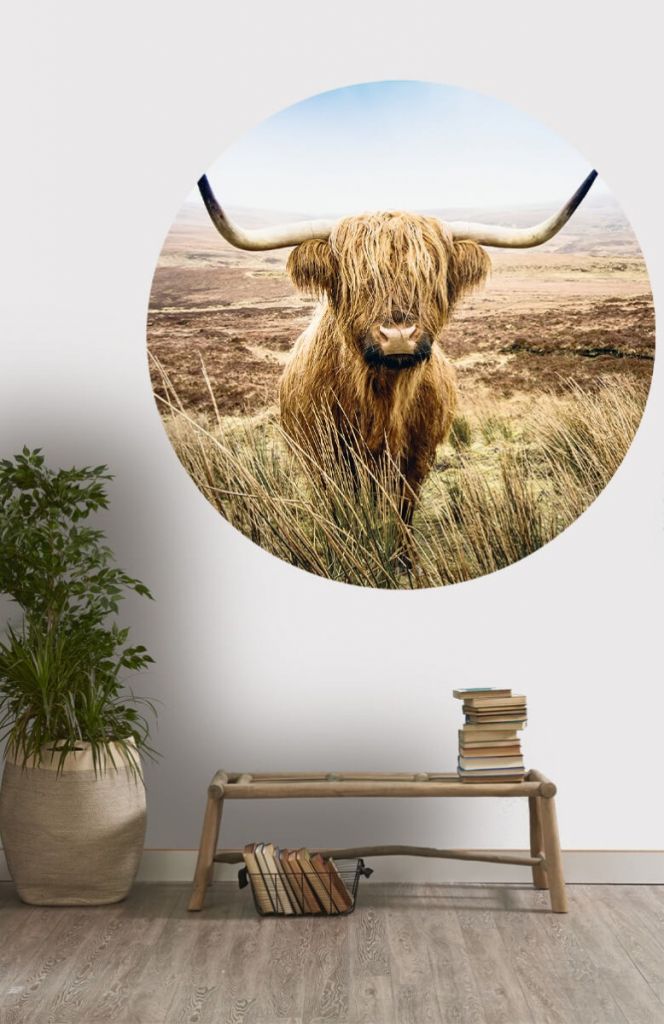 Círculo de empapelado de vaca escocesa con juncos