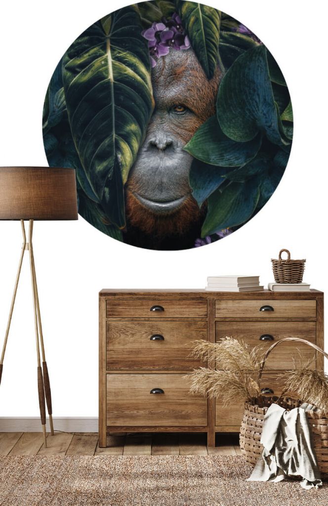 Papel pintado círculo Orangután de la selva