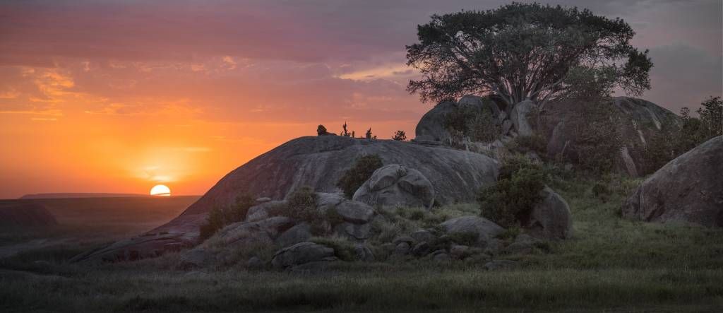 Puesta de sol sobre la sabana