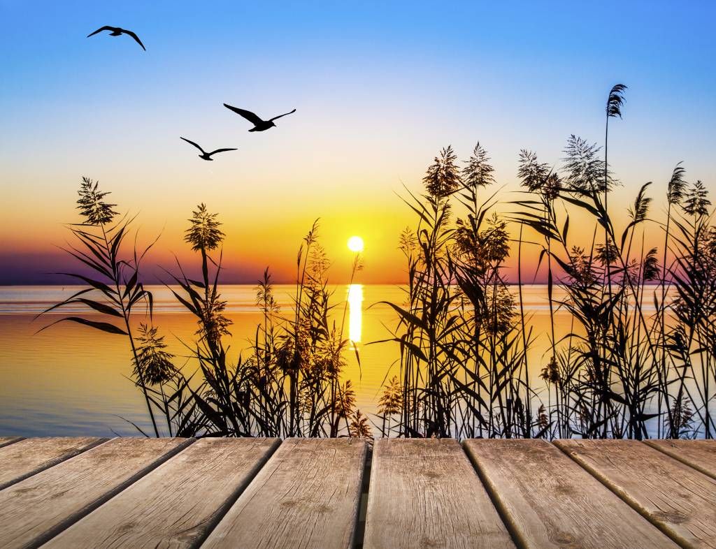 Puesta de sol en el lago