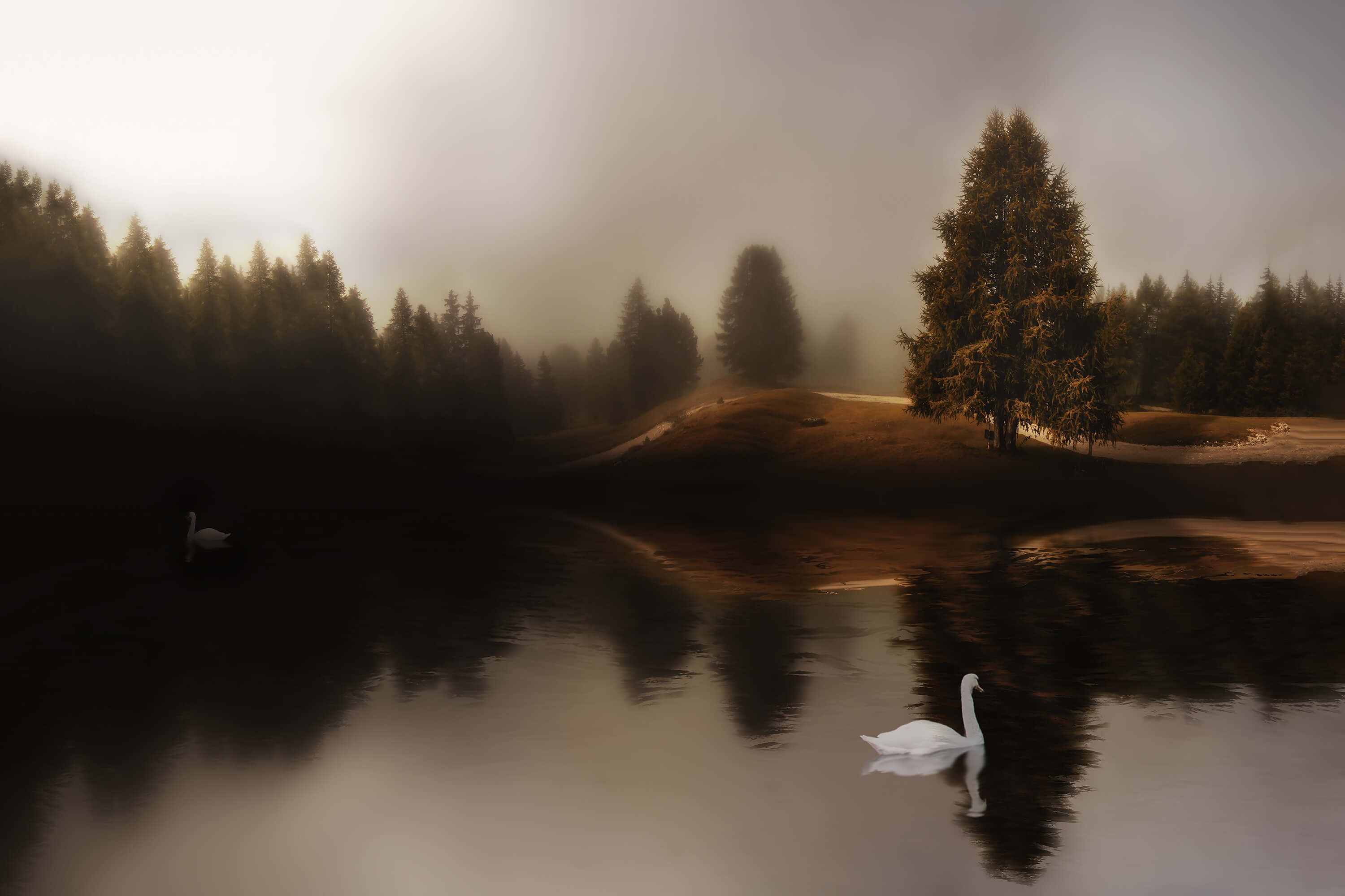  Papel pintado con El lago de los cisnes - Salón