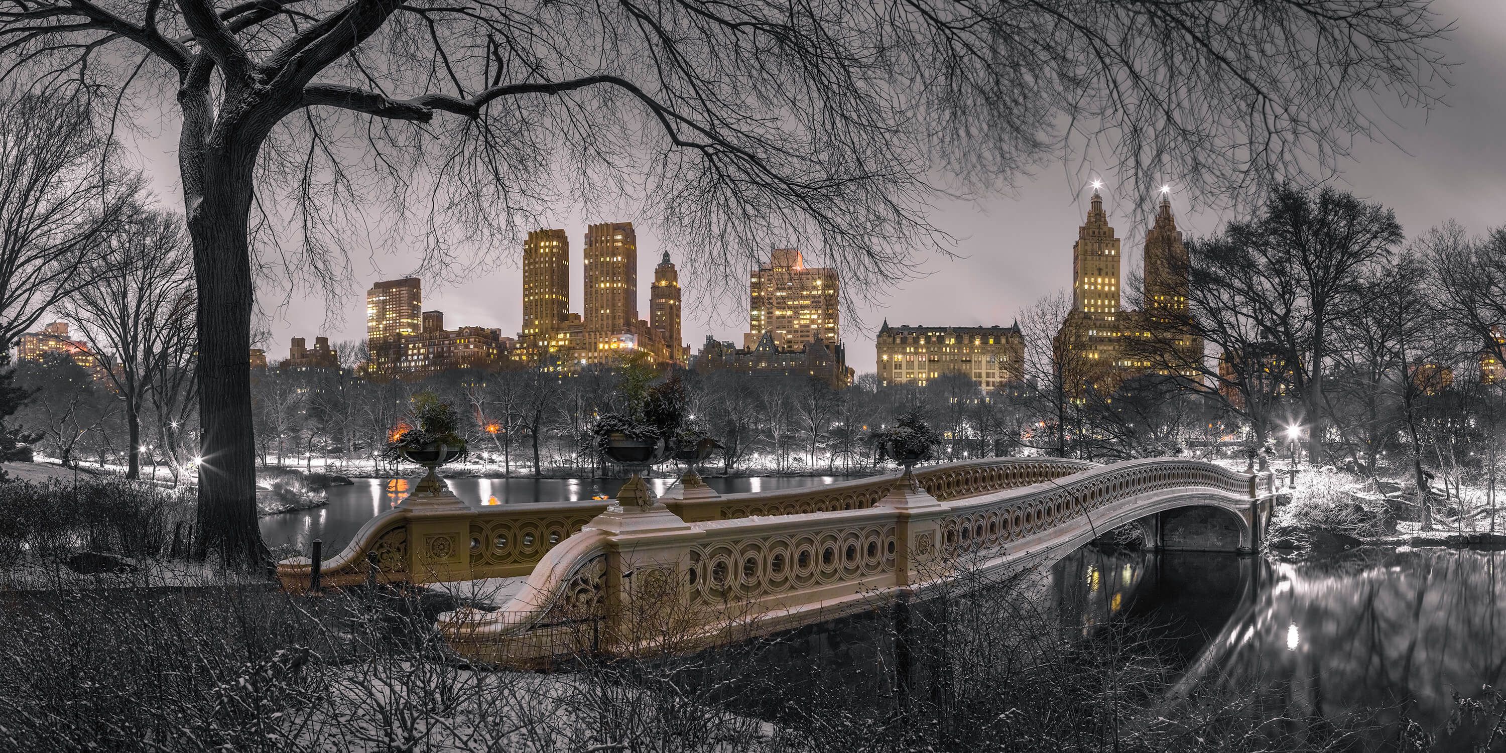  Papel pintado con Central Park y Manhattan - Salón