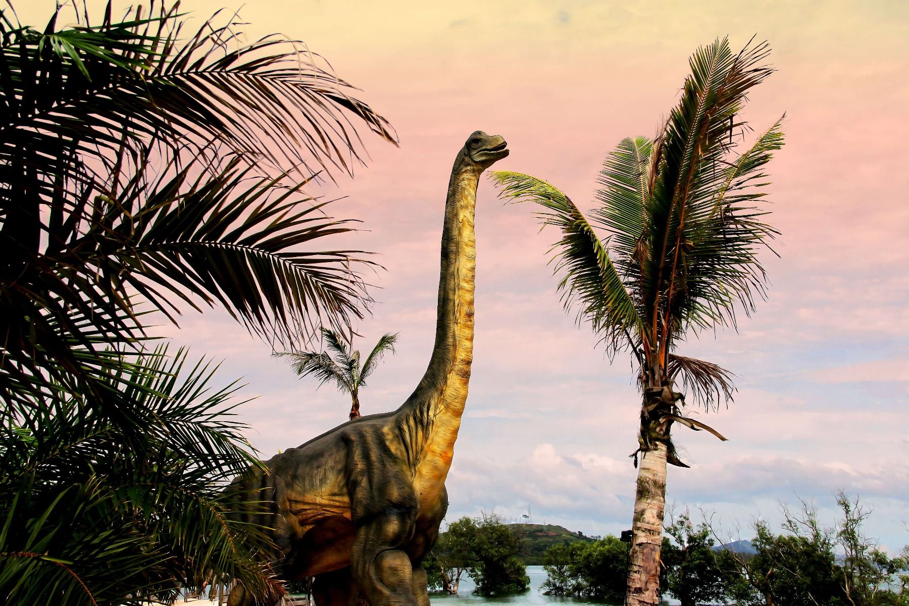 Empapelado de dinosaurios