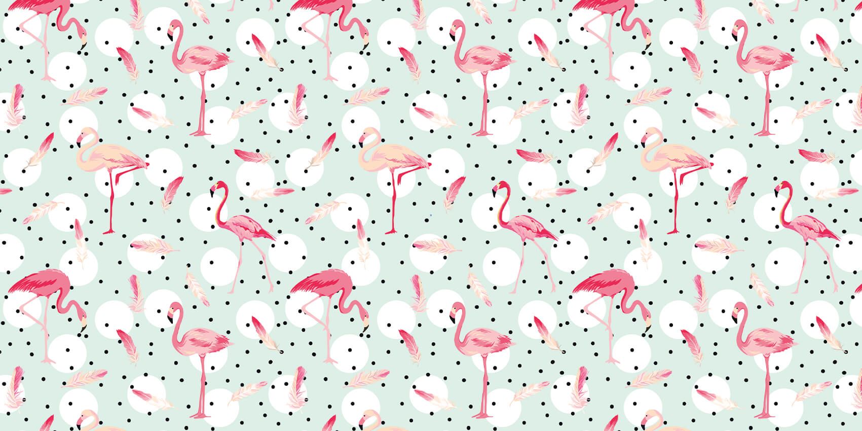 Flamencos y plumas