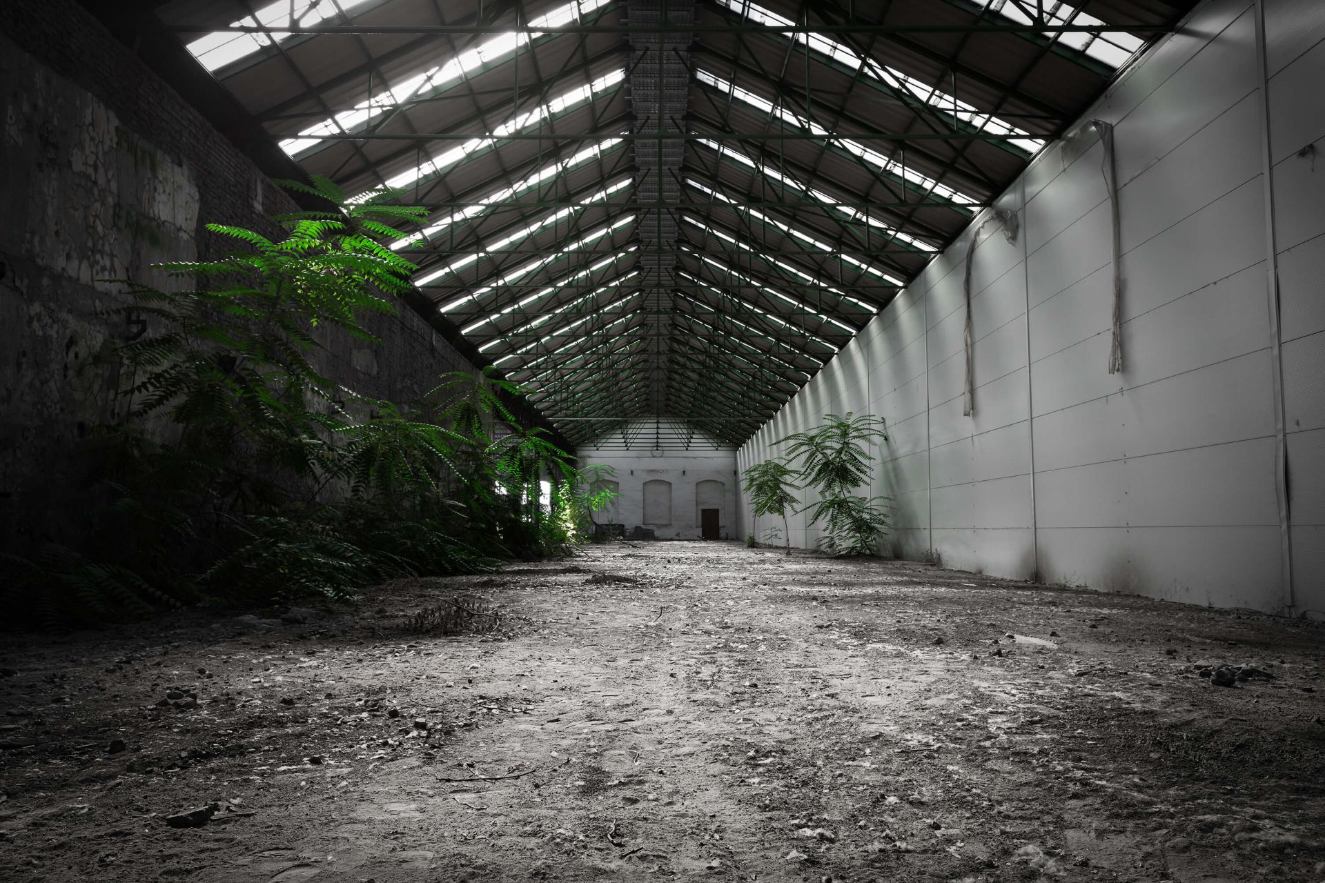 Nave industrial con plantas