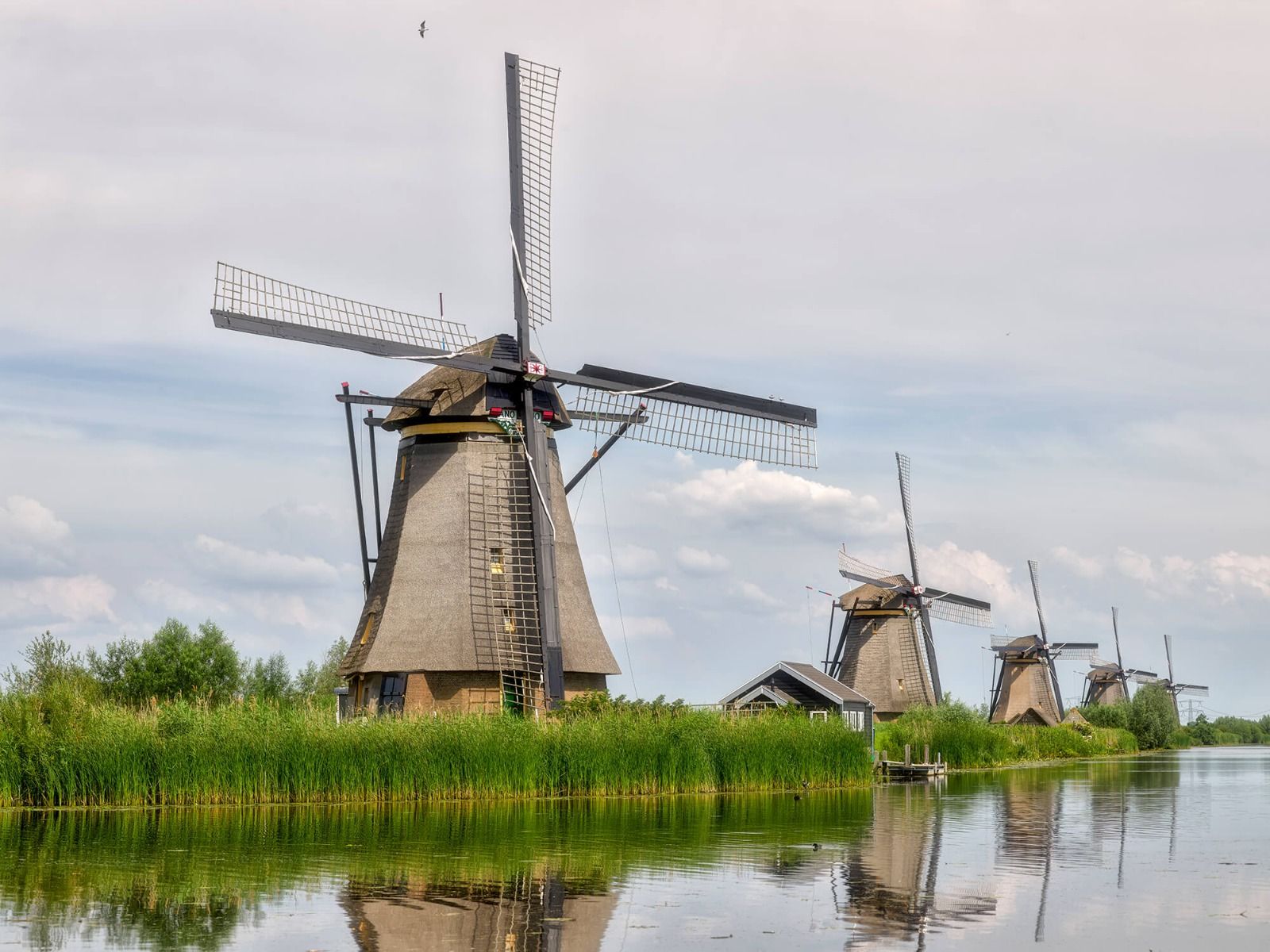 Molinos de viento de Kinderdijk