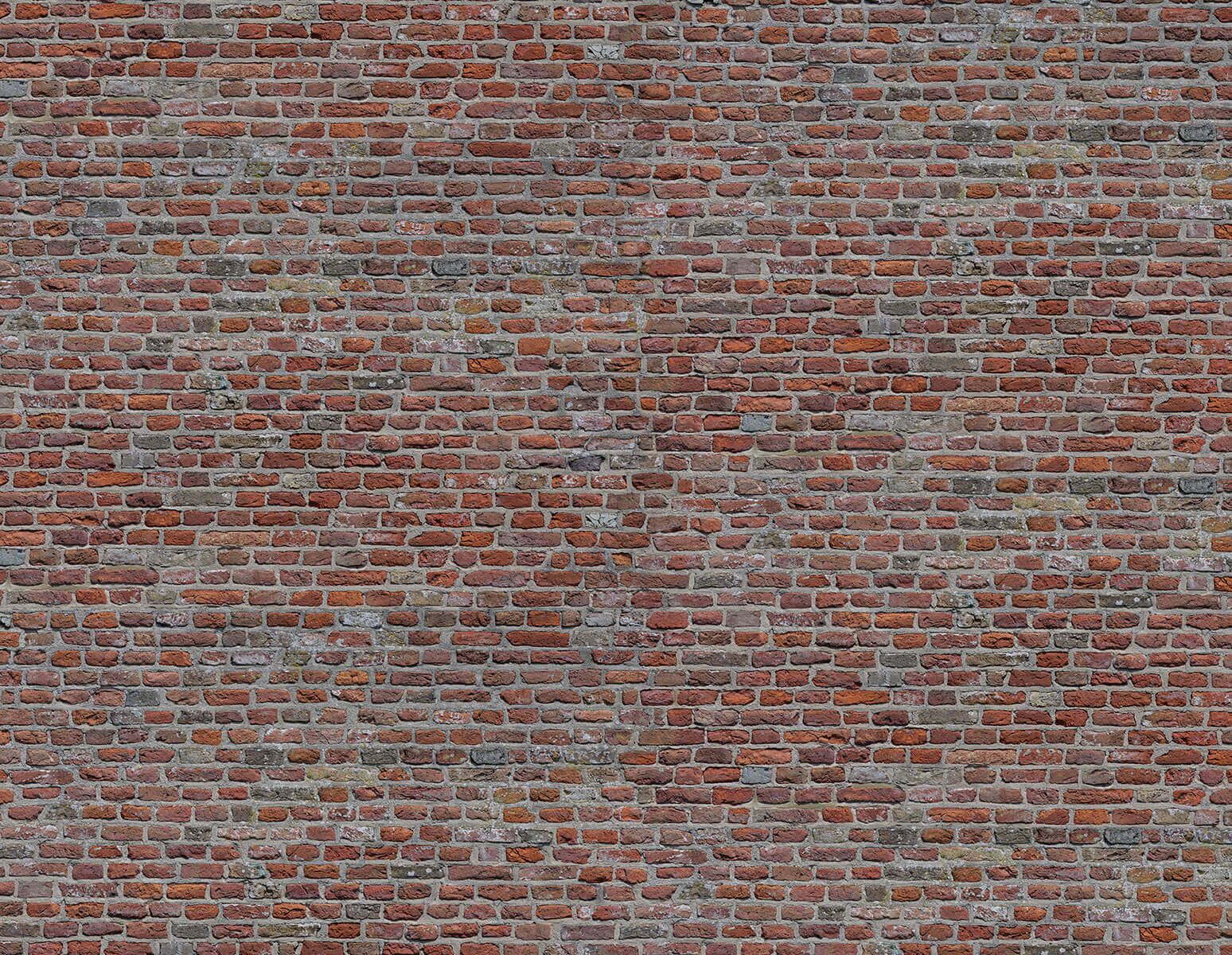 Pared restaurada