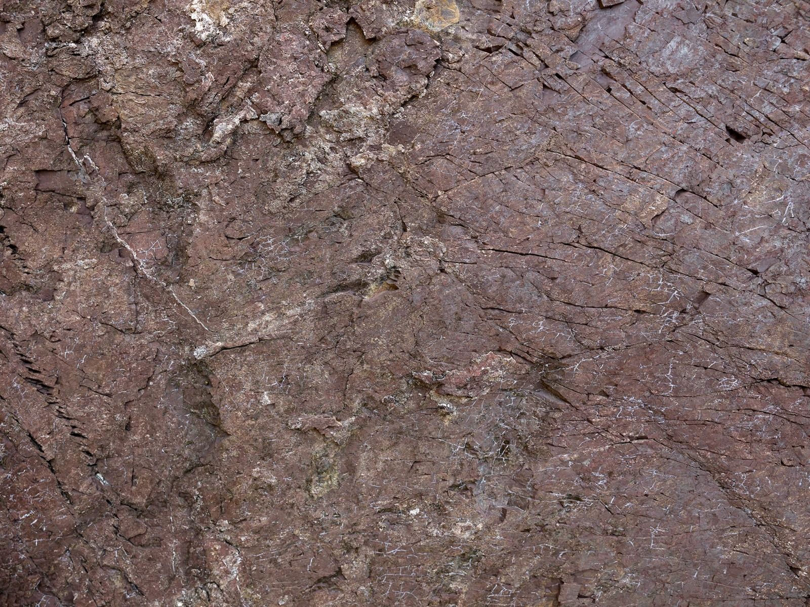 Roca con árboles