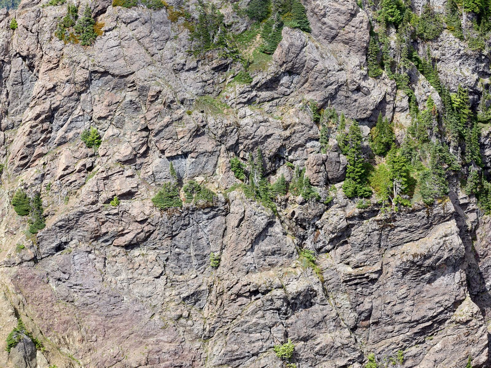 Rocas con detalles
