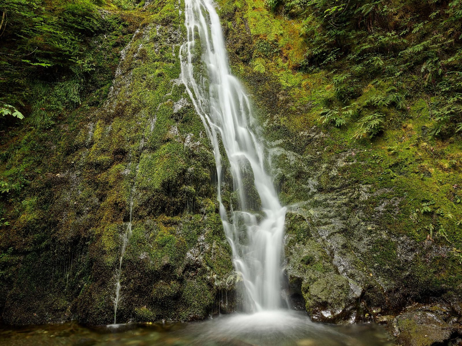Cascada con un hermoso verde