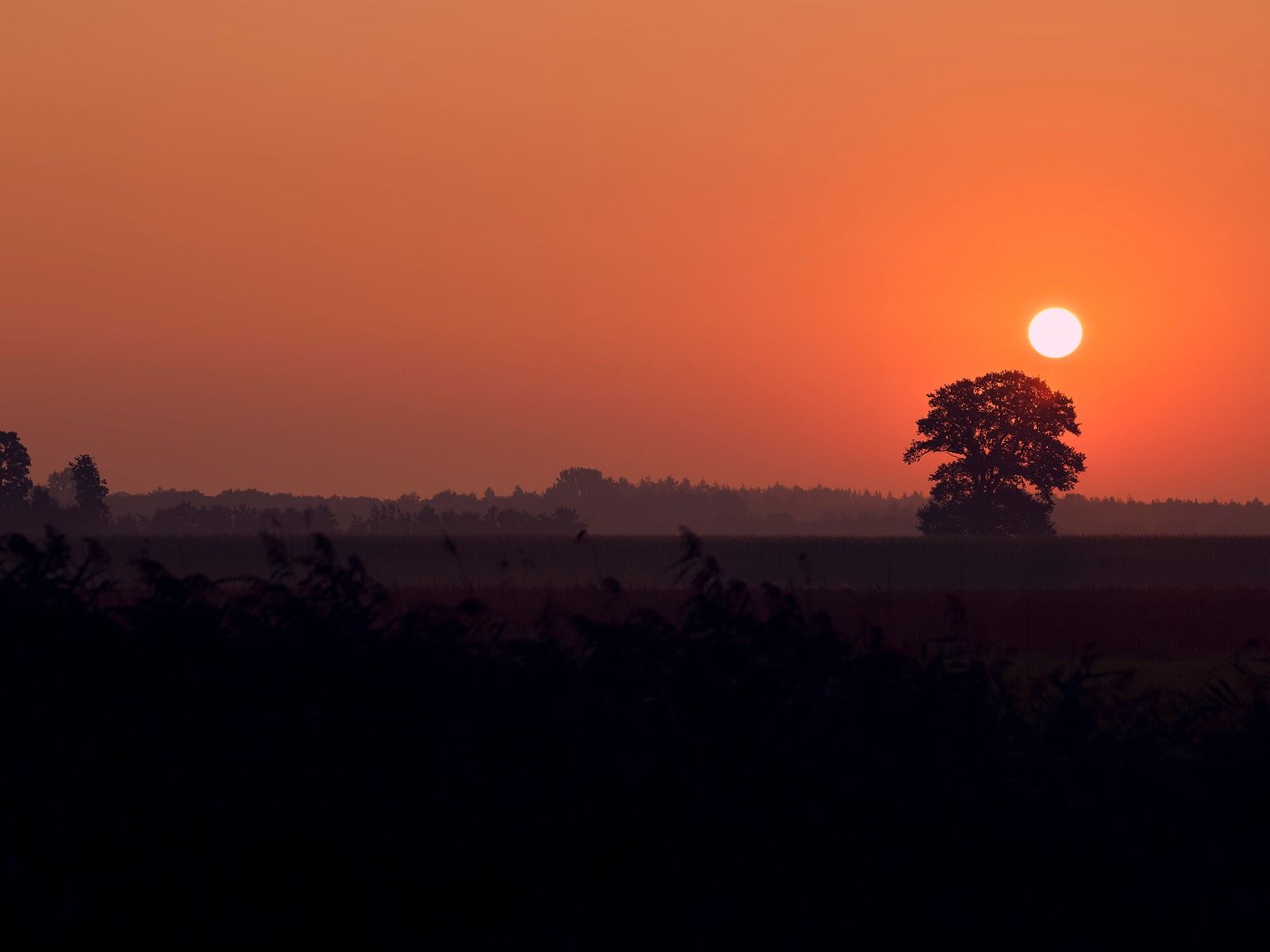 Amanecer