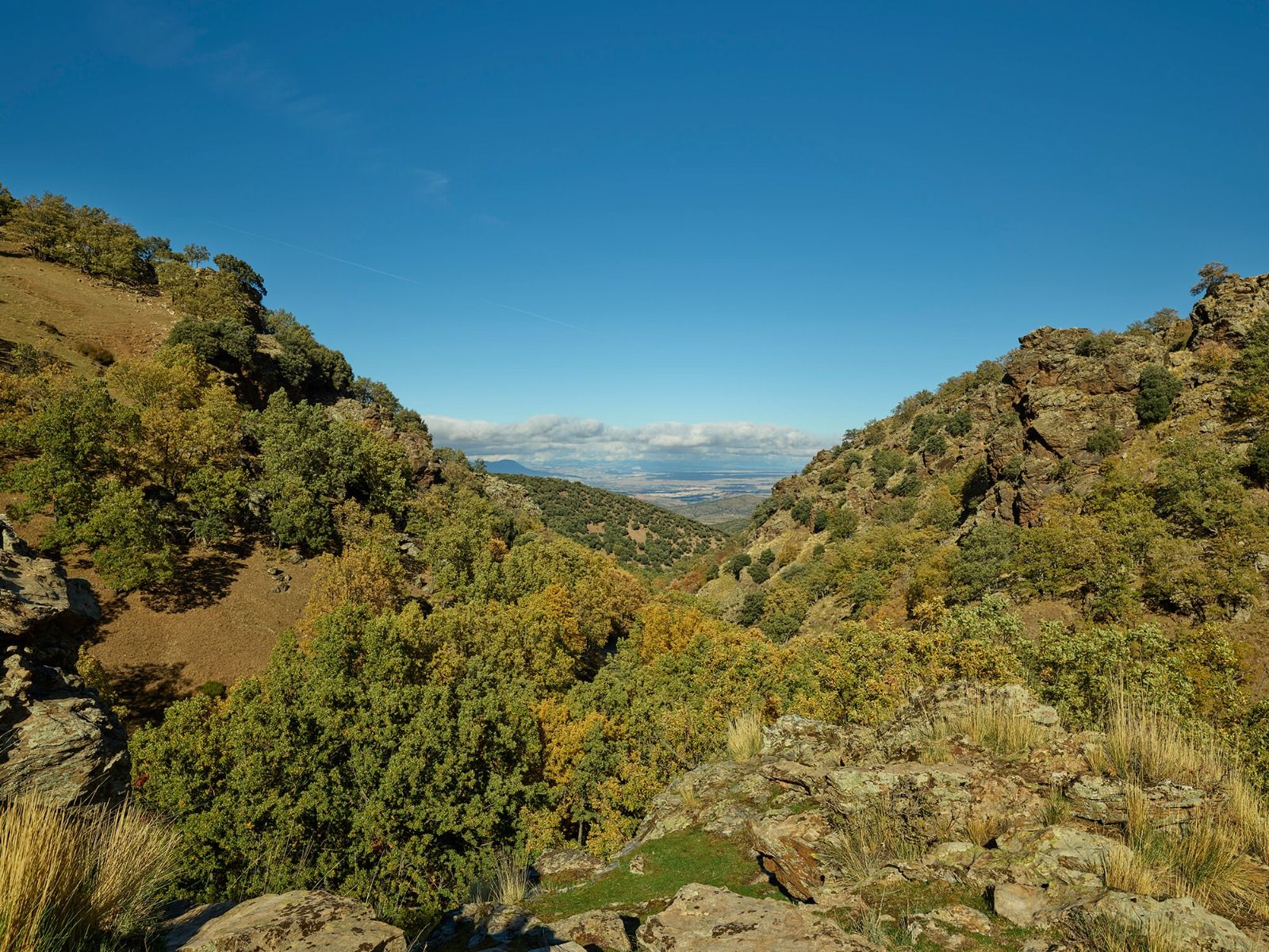 Vista a través del paisaje montañoso