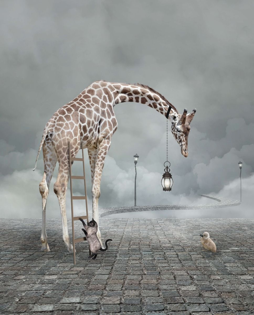 Paisaje de fantasía con animales