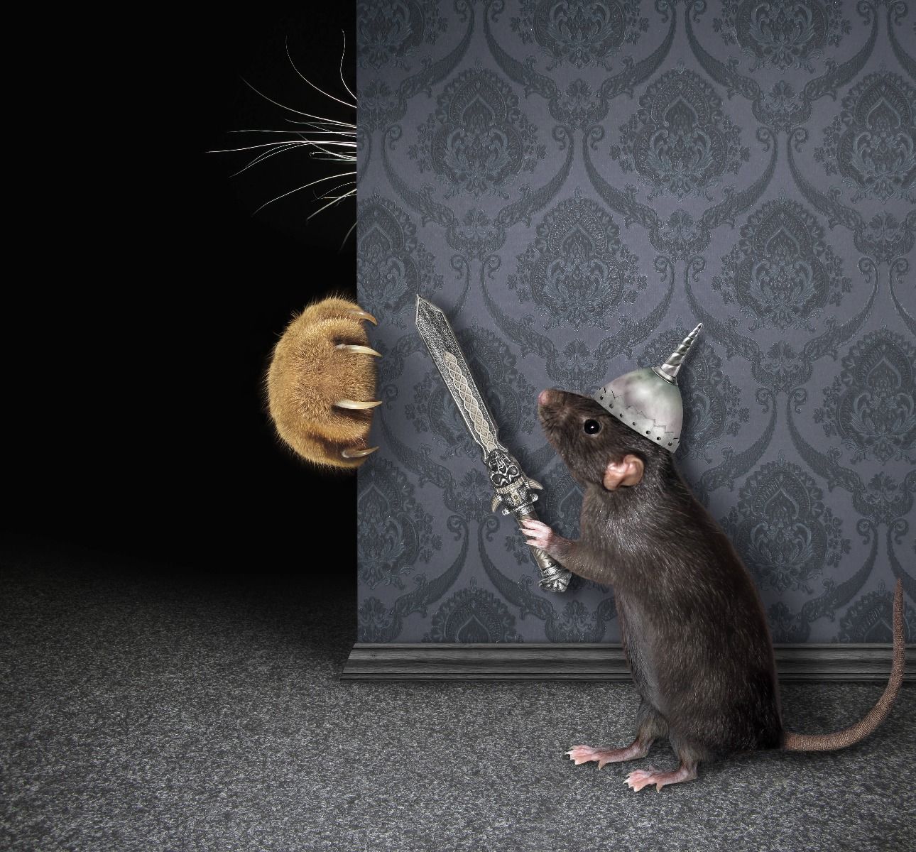 El gato y el ratón