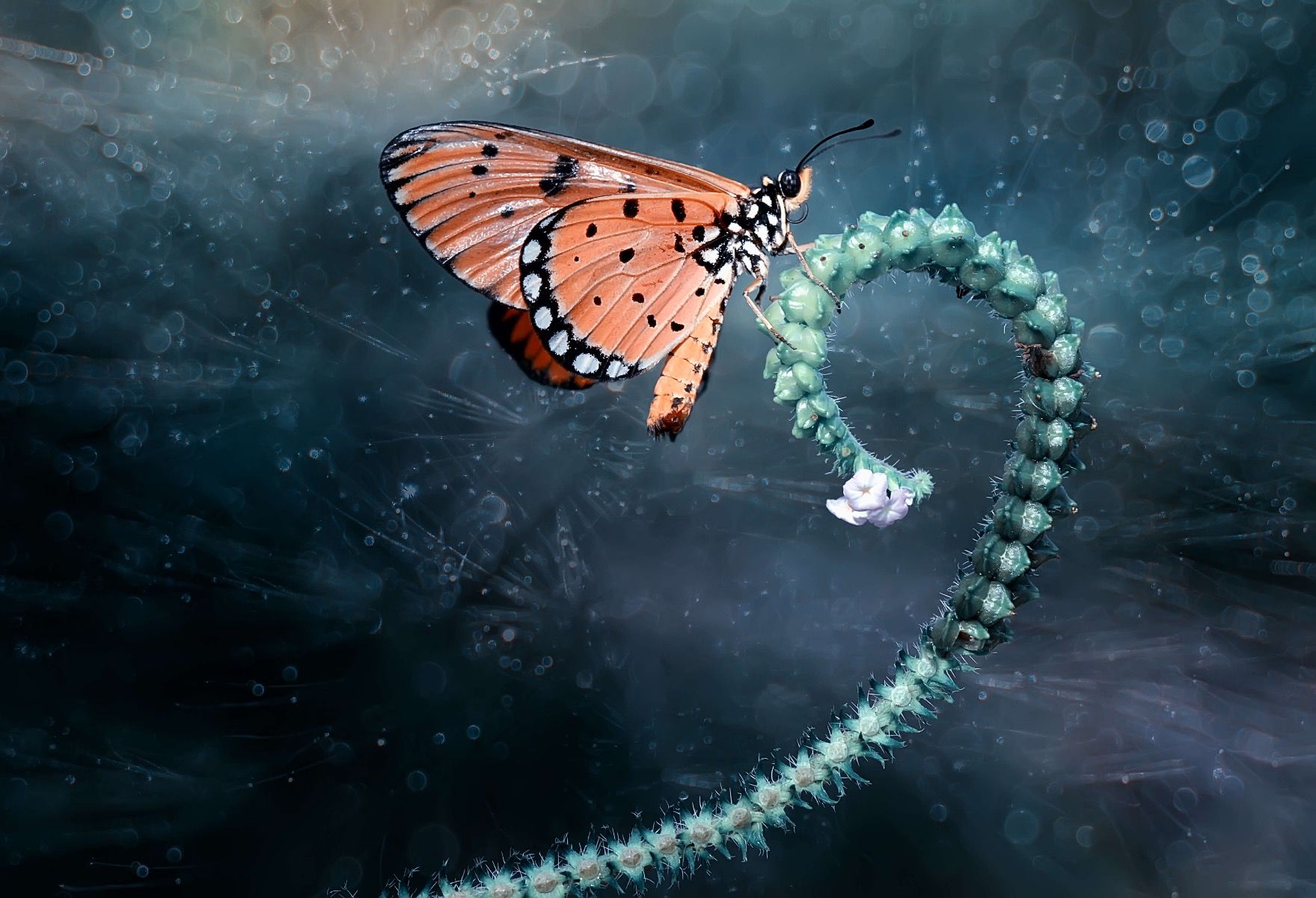 Mariposa en rama