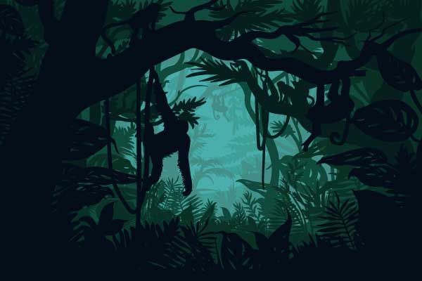 Mono en la selva