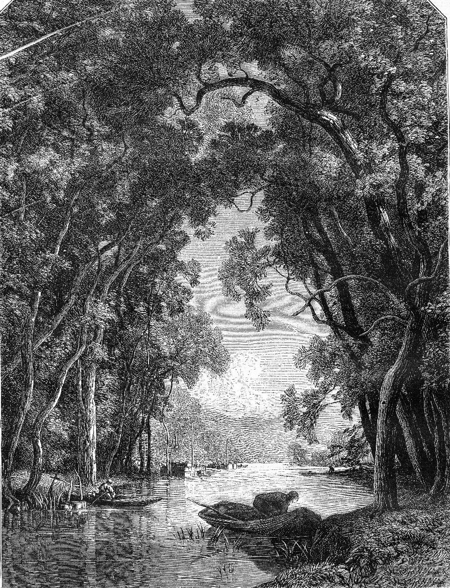 Antiguo río en la selva