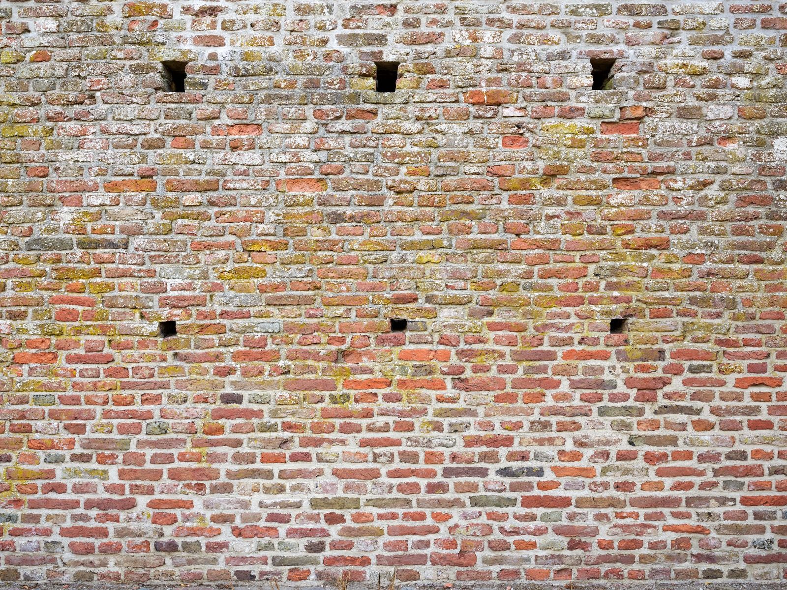 Antiguo muro de piedra