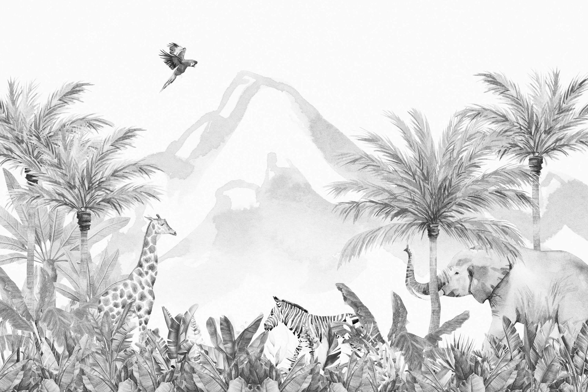 Animales de la selva en blanco y negro