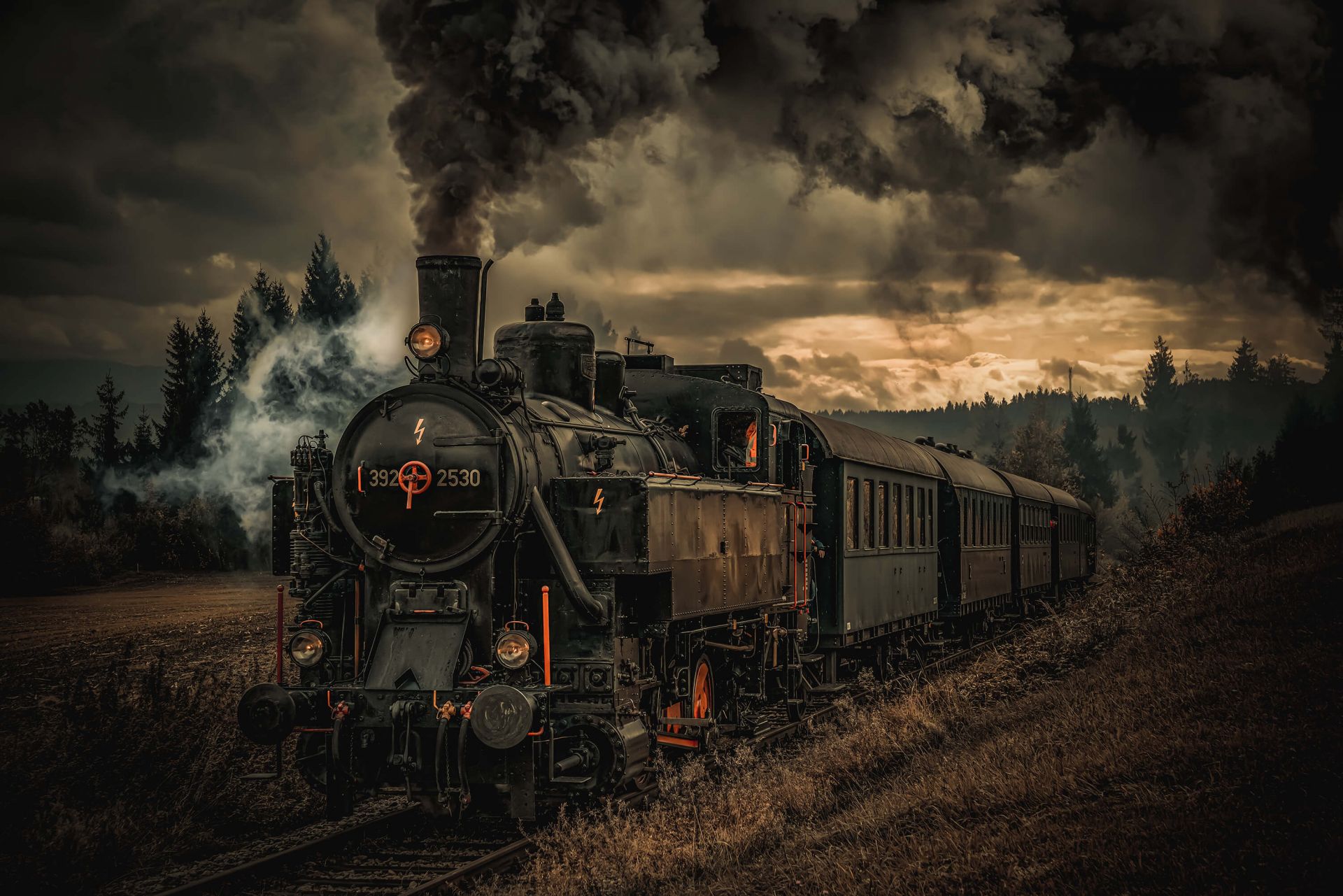 El tren de los buscadores de oro