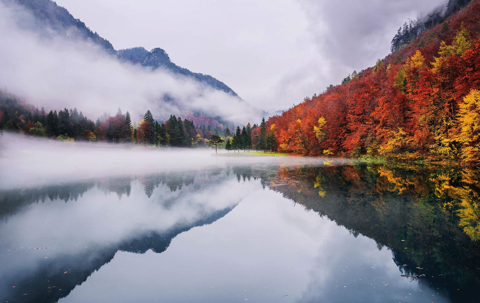 Reflexiones de otoño
