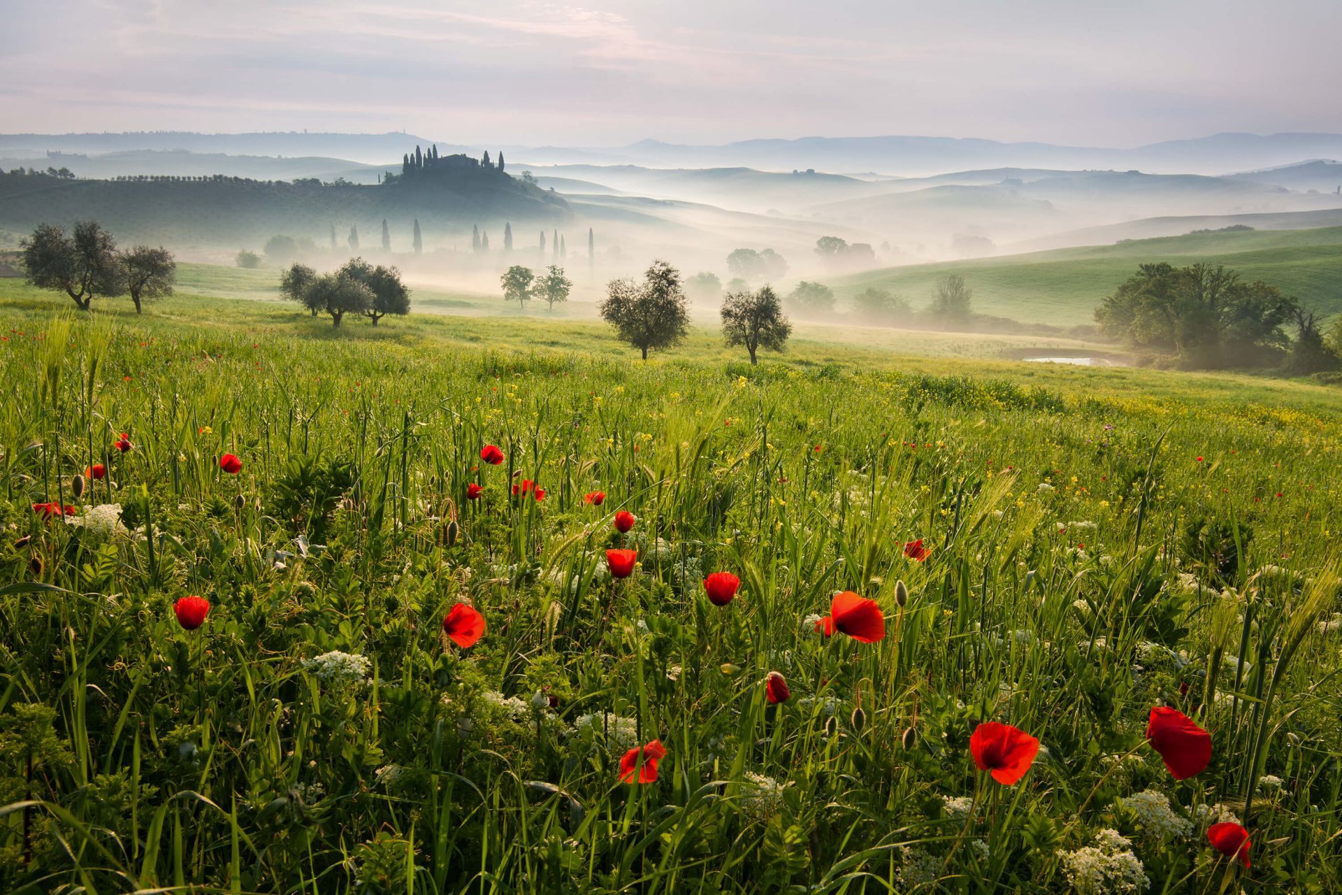 Primavera toscana