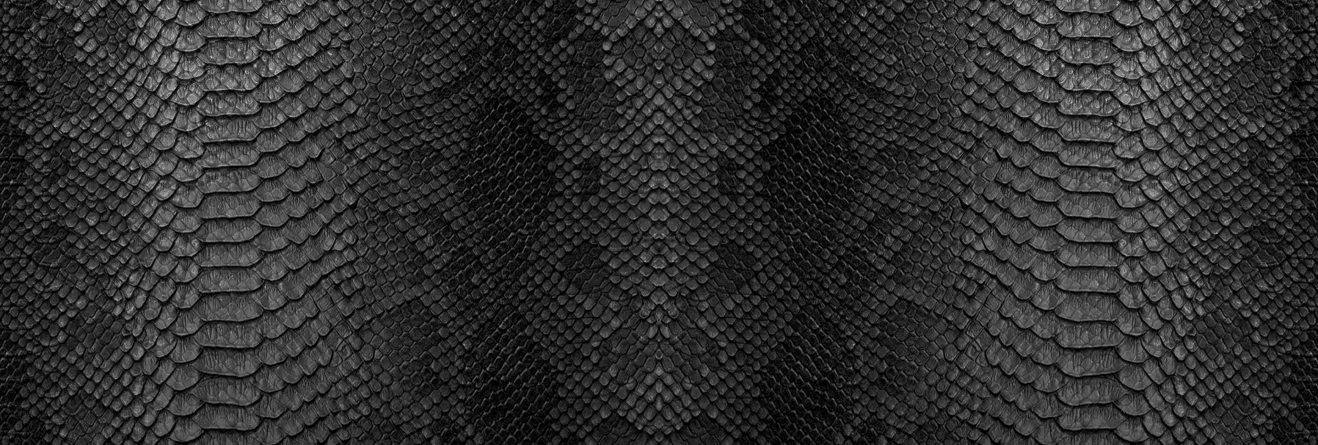 Piel de serpiente