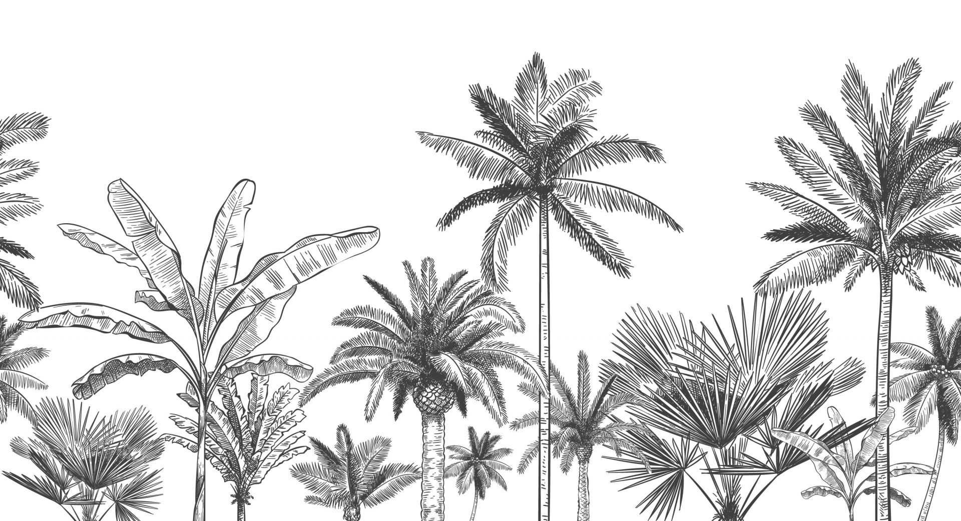 Palmeras dibujadas