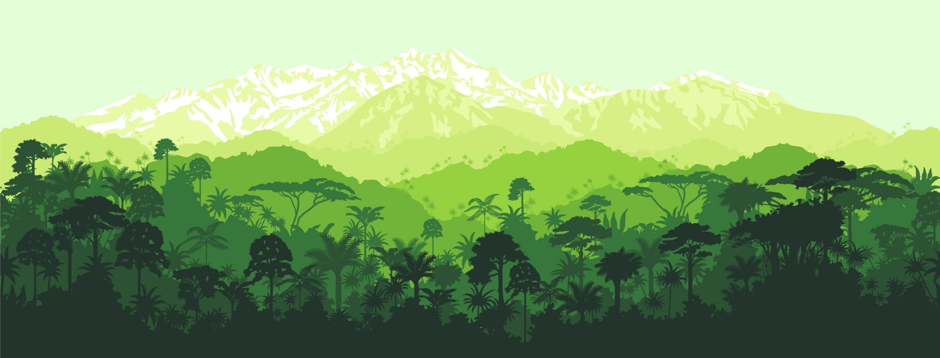 Árboles de la selva y altas montañas