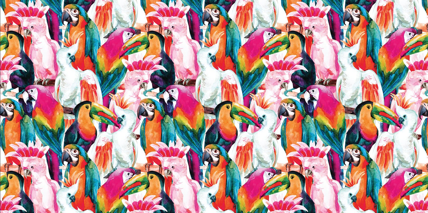 Pájaros de colores tropicales