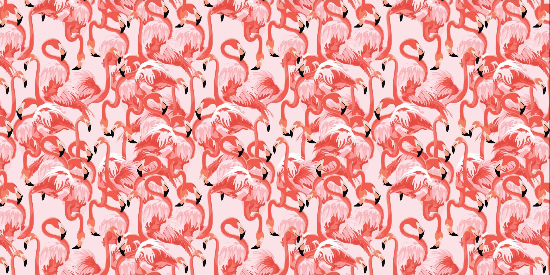 Flamencos exóticos