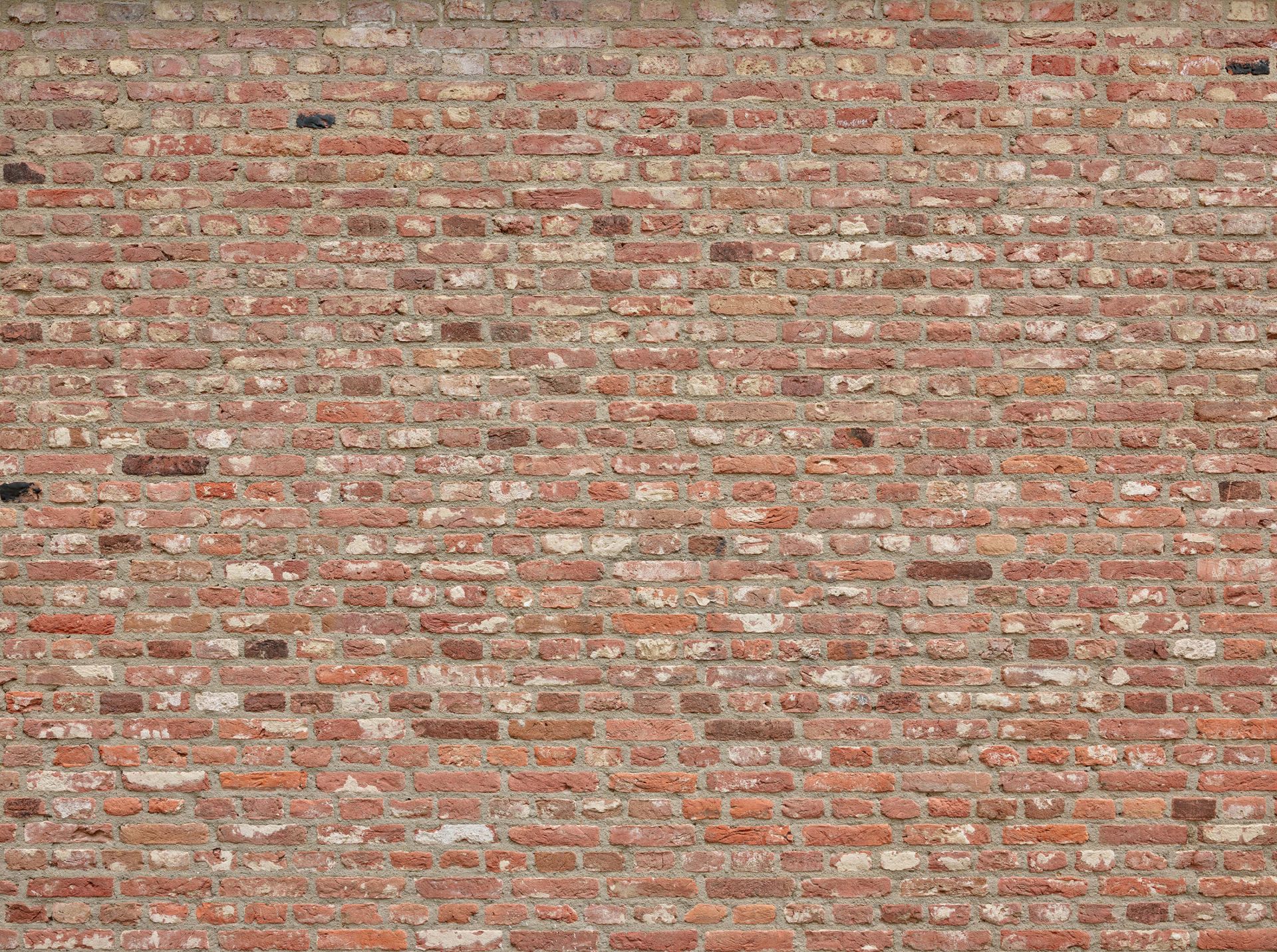 Pared con ladrillos de diferentes colores
