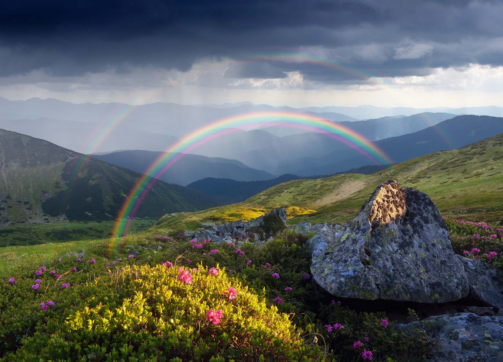 Paisaje con flores Paisaje con flores