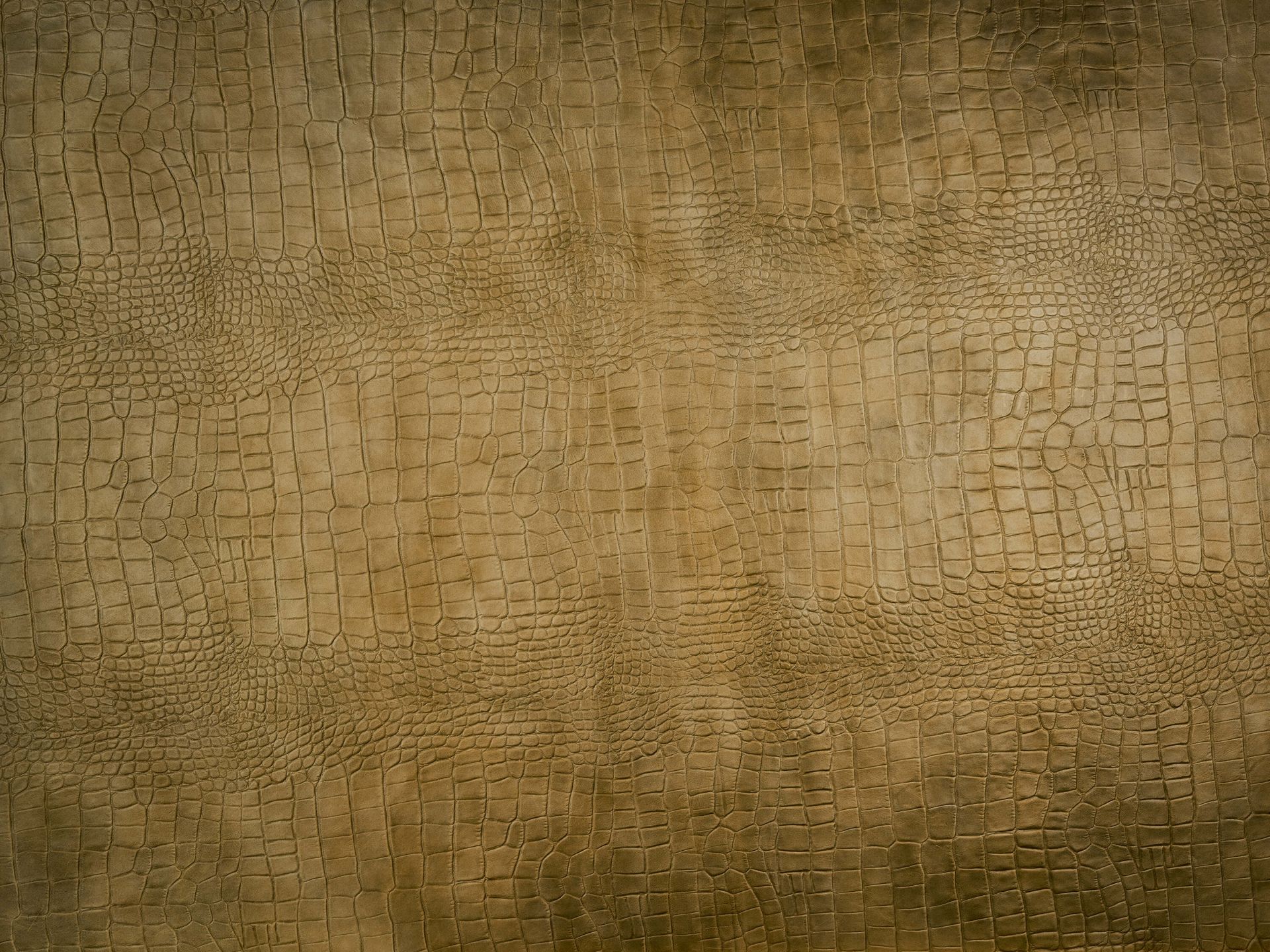 Textura de cocodrilo amarillo ocre